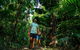Full Day Daintree Rainforest And Mossman Gorge Tour - thumb 0