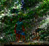 Full Day Daintree Rainforest and Mossman Gorge Tour - Accommodation Perth