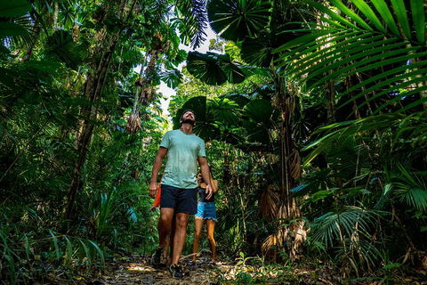 Full Day Daintree Rainforest And Mossman Gorge Tour - Accommodation Perth 0