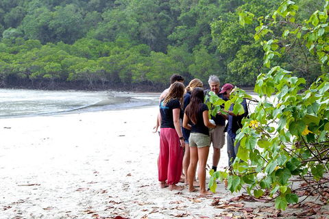 Full Day Daintree Rainforest And Mossman Gorge Tour - Accommodation Perth 2