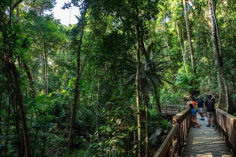 Full Day Daintree Rainforest And Mossman Gorge Tour - Accommodation Perth 5