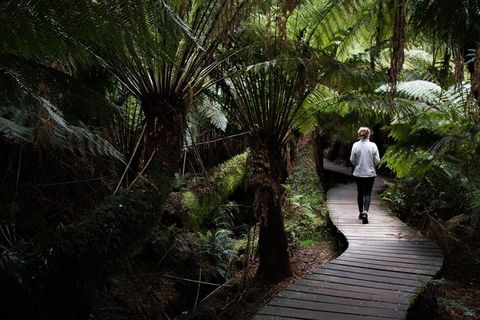 Private Tour Of Melbourne - Accommodation Perth 2