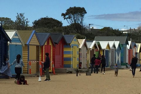 Private Half Day Melbourne City Tour With Local Guide - Accommodation Perth 2