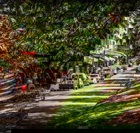 Fully Inclusive Blue Mountains Private Tour inc Scenic World  Featherdale entry - Accommodation Perth