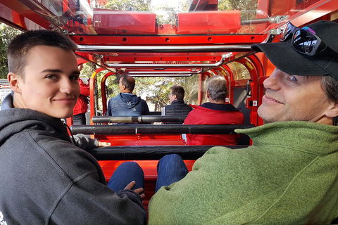 Fully Inclusive Blue Mountains Private Tour Inc Scenic World & Featherdale Entry - Accommodation Perth 1