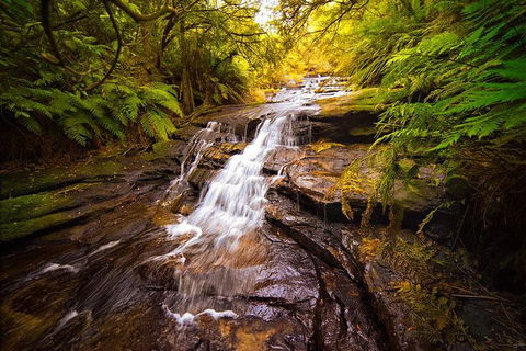 Fully Inclusive Blue Mountains Private Tour Inc Scenic World & Featherdale Entry - Accommodation Perth 3