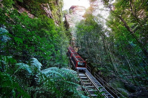 Fully Inclusive Blue Mountains Private Tour Inc Scenic World & Featherdale Entry - Accommodation Perth 4