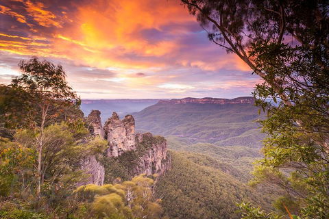 Fully Inclusive Blue Mountains Private Tour Inc Scenic World & Featherdale Entry - Accommodation Perth 5