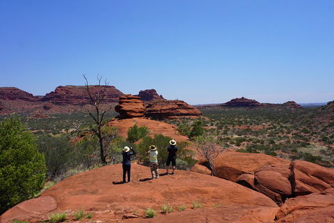 Palm Valley And Hermannsburg 1 Day 4WD Tour - Accommodation Perth 2