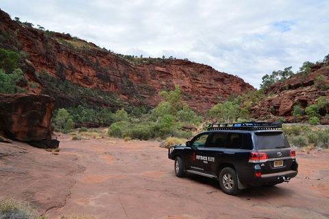 Palm Valley And Hermannsburg 1 Day 4WD Tour - Accommodation Perth 5