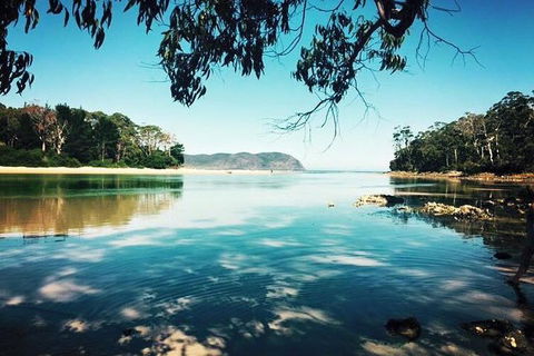 Full-Day Guided Bruny Island Tour From Hobart - Accommodation Perth 1