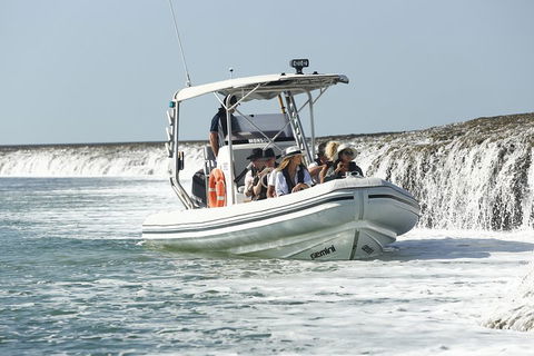 Cygnet Bay Explorer - Accommodation Perth 2