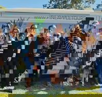Full Day Mount Tamborine Winery Tour from Gold Coast - Accommodation Perth
