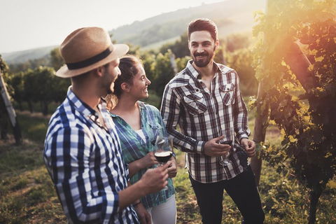 Full Day Mount Tamborine Winery Tour From Gold Coast - Accommodation Perth 5