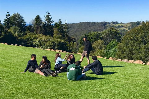 Mt Tamborine - Hinterland Wonders Self Guided - Accommodation Perth 1