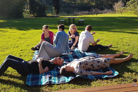 Mt Tamborine - Hinterland Wonders Self Guided - Accommodation Perth 2