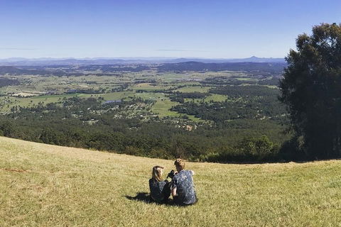 Mt Tamborine - Hinterland Wonders Self Guided - Accommodation Perth 4