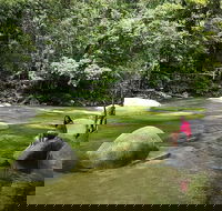 Daintree Dreaming Traditional Aboriginal Fishing from Cairns or Port Douglas - Accommodation Perth