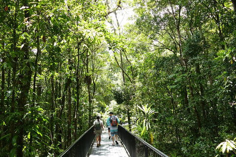 Daintree Dreaming Traditional Aboriginal Fishing From Cairns Or Port Douglas - Accommodation Perth 3