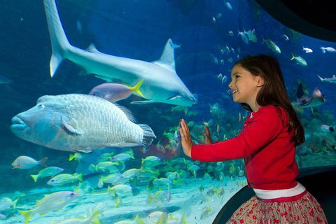 SEA LIFE Melbourne Aquarium Admission Ticket - Accommodation Perth 1