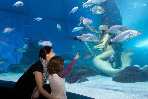 SEA LIFE Melbourne Aquarium Admission Ticket - Accommodation Perth 4