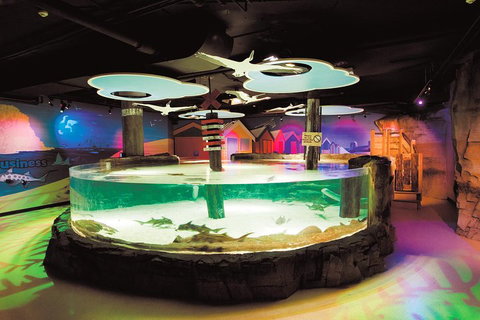 SEA LIFE Melbourne Aquarium Admission Ticket - Accommodation Perth 5
