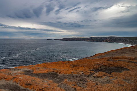 Kangaroo Island Luxury Small Group 'Flinders Chase Focus' Full Day Tour - Accommodation Perth 0