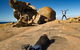 Kangaroo Island Luxury Small Group 'Flinders Chase Focus' Full Day Tour - thumb 4