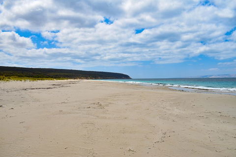Kangaroo Island Luxury Small Group 'East End Explorer' Full Day Tour - Accommodation Perth 3