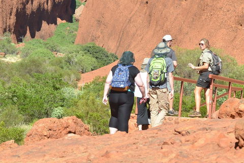 Afternoon Kata Tjuta Small Group Tour - Accommodation Perth 0
