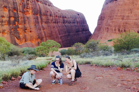 Afternoon Kata Tjuta Small Group Tour - Accommodation Perth 2