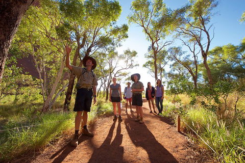 Uluru Small Group Tour Including Sunset - Accommodation Perth 0