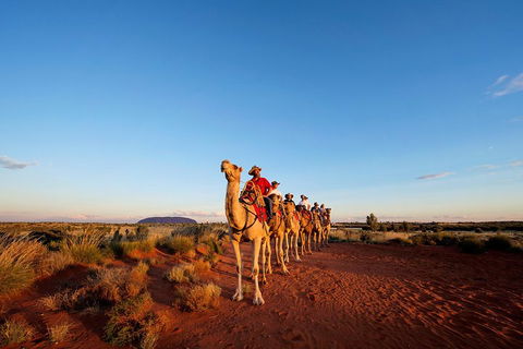 Uluru Small-Group Tour By Camel At Sunrise Or Sunset - Accommodation Perth 3