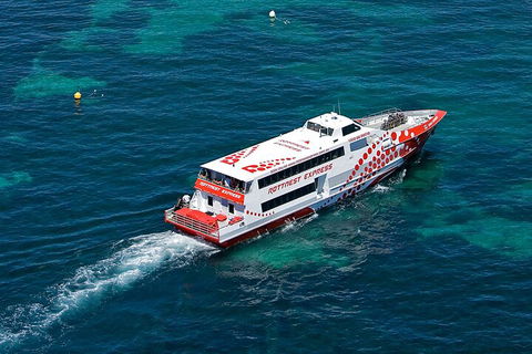 Discover Rottnest With Ferry & Bus Tour From Perth Or Fremantle - Accommodation Perth 3