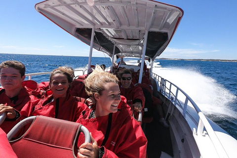 Adventure Rottnest Tour With Ferry & Adventure Cruise From Perth Or Fremantle - Accommodation Perth 0