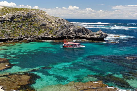 Adventure Rottnest Tour With Ferry & Adventure Cruise From Perth Or Fremantle - Accommodation Perth 5