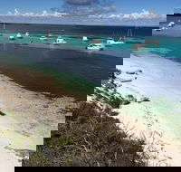 Experience Rottnest with Ferry  Bike Hire from Perth or Fremantle - Accommodation Perth