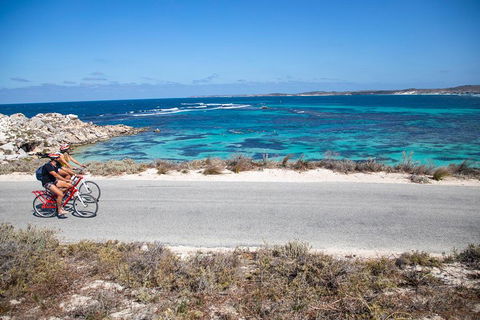 Experience Rottnest With Ferry & Bike Hire From Perth Or Fremantle - Accommodation Perth 2