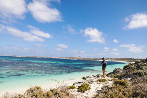 Experience Rottnest With Ferry & Bike Hire From Perth Or Fremantle - Accommodation Perth 3