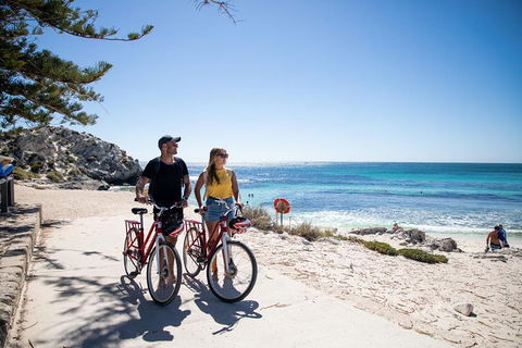 Experience Rottnest With Ferry & Bike Hire From Perth Or Fremantle - Accommodation Perth 4
