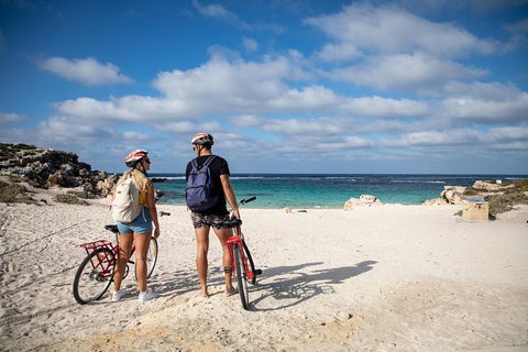 Experience Rottnest With Ferry & Bike Hire From Perth Or Fremantle - Accommodation Perth 5