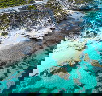 Rottnest Island Round-Trip Ferry from Perth or Fremantle - Accommodation Perth