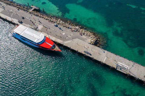 Rottnest Island Round-Trip Ferry From Perth Or Fremantle - Accommodation Perth 1