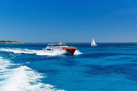 Rottnest Island Round-Trip Ferry From Perth Or Fremantle - Accommodation Perth 4