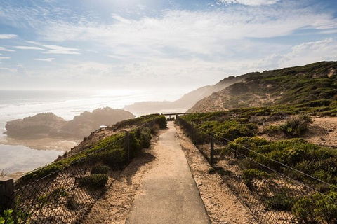 Melbourne Super Saver: Great Ocean Road + Mornington Peninsula + Attraction Pass - Accommodation Perth 4