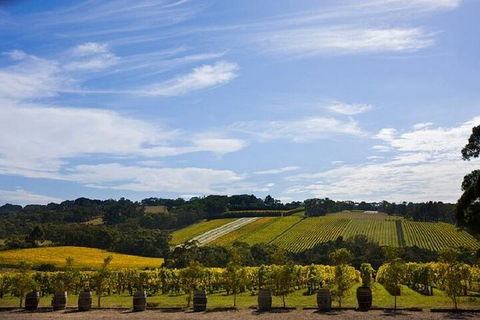 Melbourne Super Saver: Great Ocean Road + Mornington Peninsula + Attraction Pass - Accommodation Perth 5