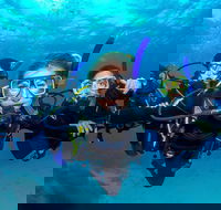 Great Barrier Reef Diving and Snorkeling Cruise from Cairns - Accommodation Perth