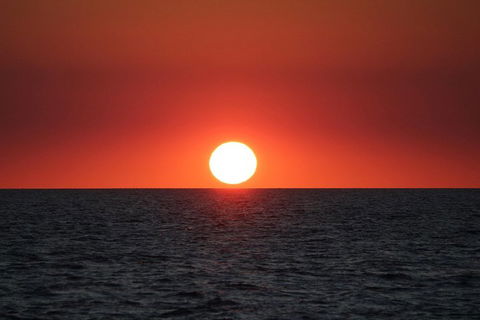 Roebuck Bay Snubfin Dolphin Cruise - Perth Resorts 3