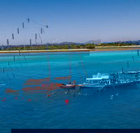 Ocean Free Green Island  Great Barrier Reef Snorkel Cruise Cairns 25 guests - Accommodation Perth