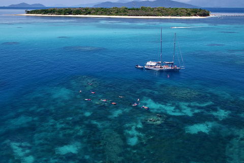 Ocean Free Green Island & Great Barrier Reef Snorkel Cruise, Cairns 25 Guests - Accommodation Perth 2
